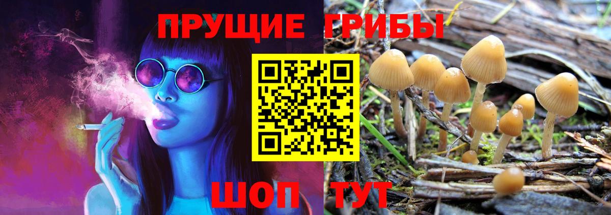 Псилоцибиновые грибы Psilocybe  Псилоцибиновые грибы мухоморы  Вход с VPN  Моздок 