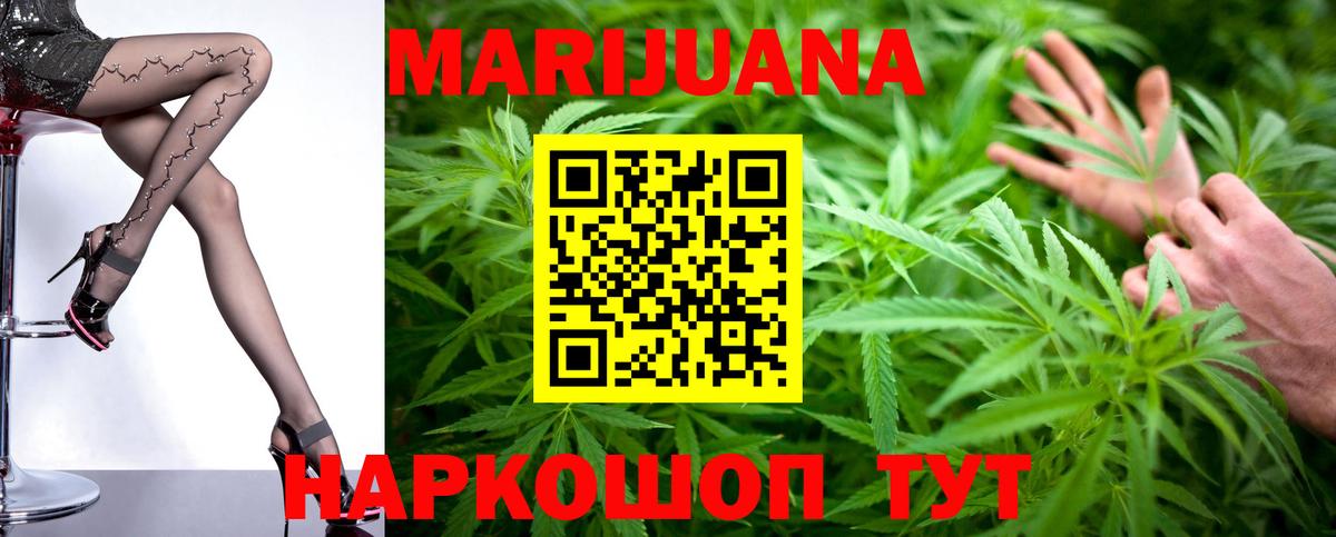Бошки Шишки планчик Моздок